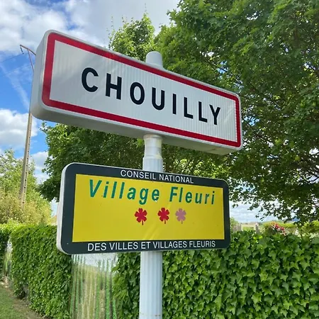La Hallette Au Coeur Du Vignoble Champenois, Classe 2 Etoiles 펜션 *